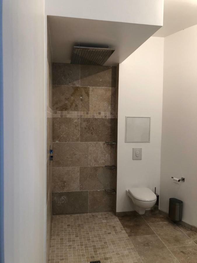 Loft Spa Reims-Fr 250M2 Privatifs, Piscine Interieure Chauffee, Spa Et Parking Εξωτερικό φωτογραφία